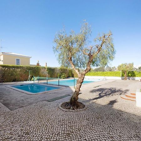Dreamalvor Apartment Bagian luar foto
